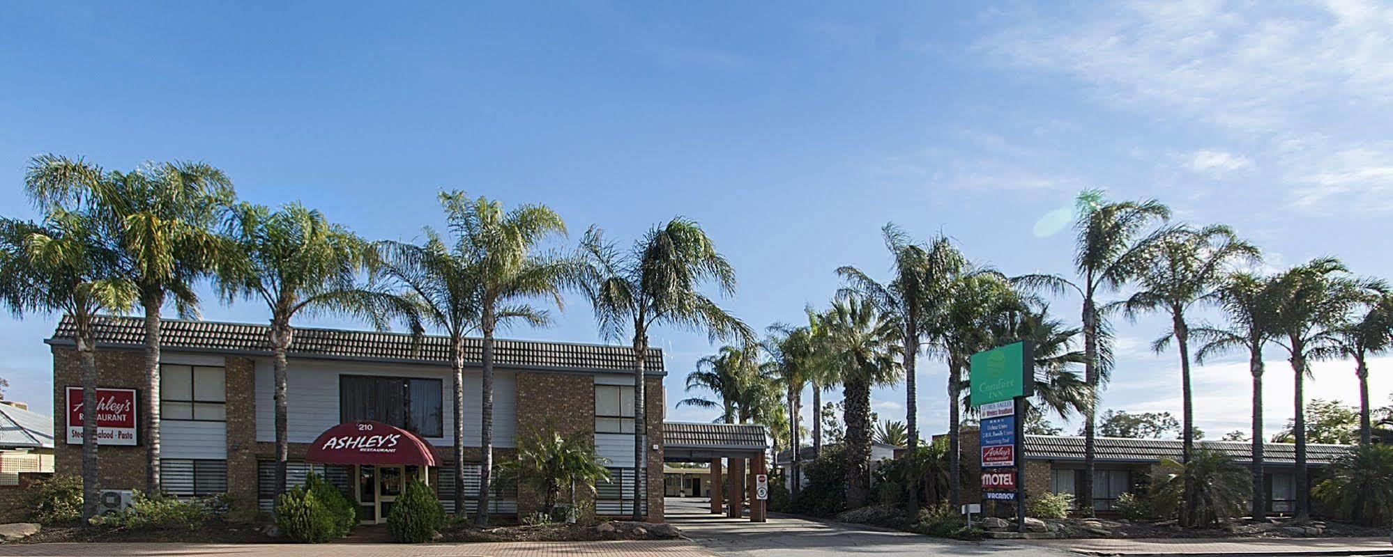 Citrus Valley Motel Ренмарк Екстериор снимка